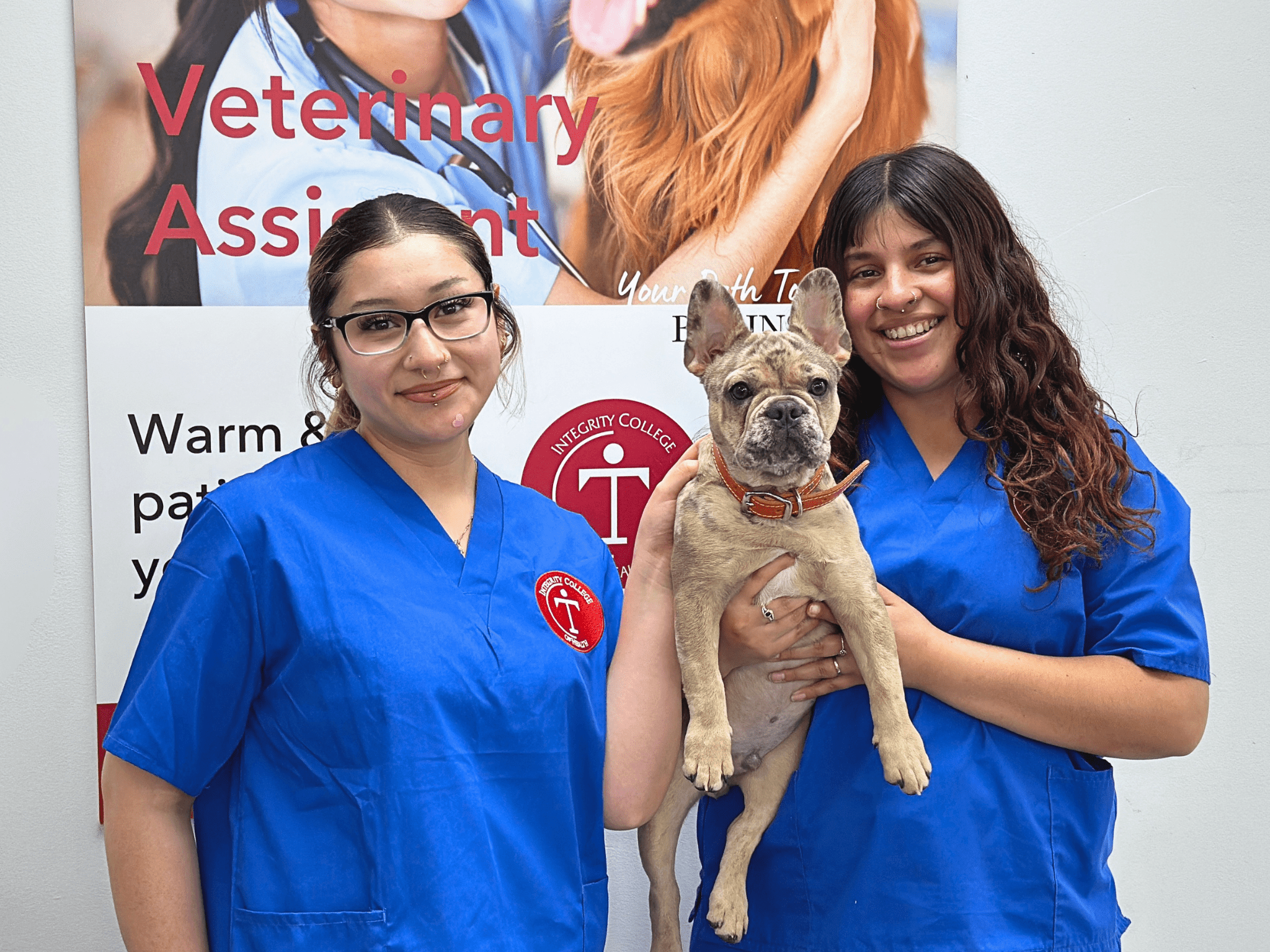veterinary assisting
