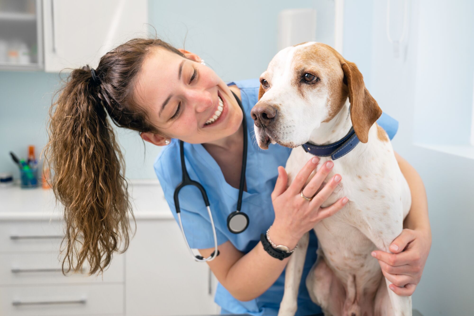 Where Can I Train to Be a Veterinary Assistant in Pasadena?